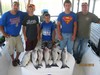(07/15/2016) - Nice Striped Bass